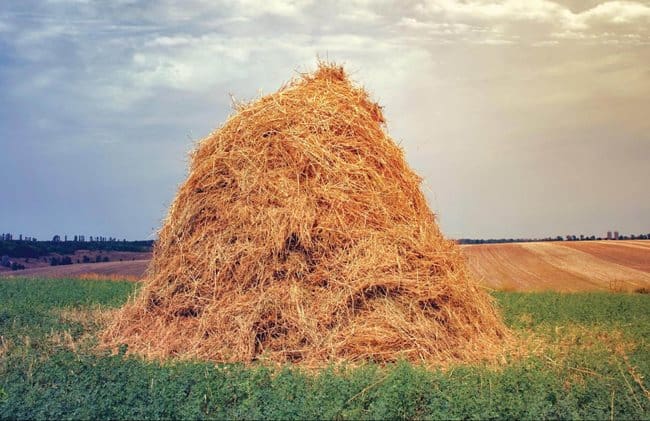 Haystack