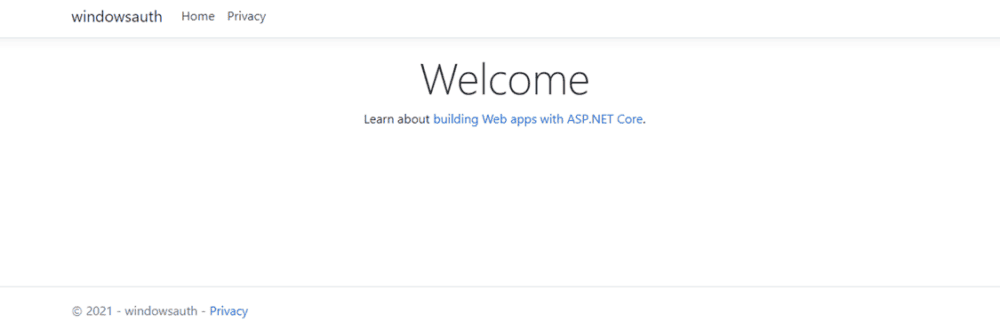 ASP.NET Core welcome screen