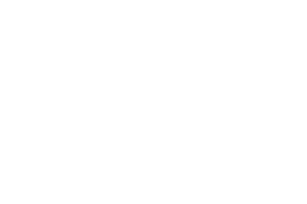 Ariens Co logo