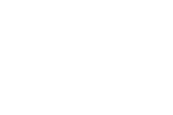 BDO logo