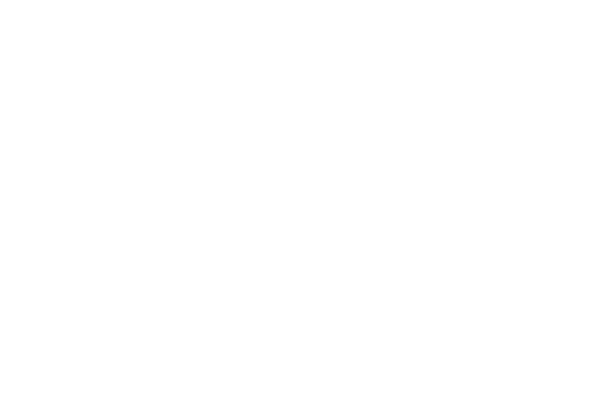 LMC logo