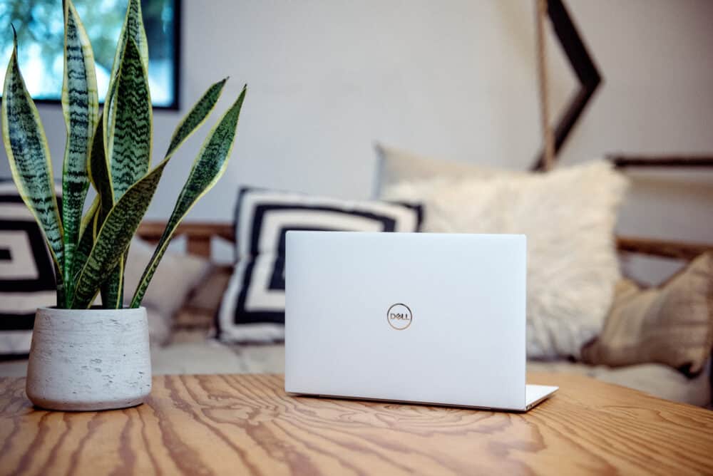 Laptop on wood table with plant