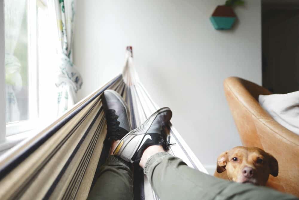 Person in hammock with dog