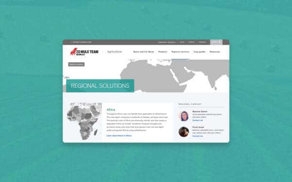 Webpage of the U.S. Borax regional solutions section for Africa, shown over a teal-tinted photo of a hay field and crop rows. Includes contact info for regional sales managers.