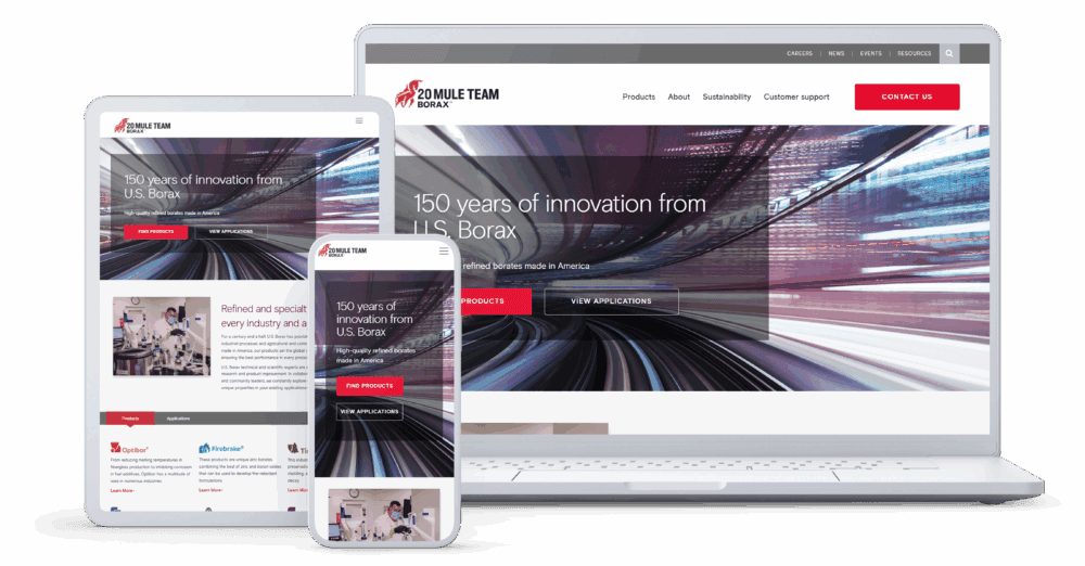 20 Mule Team Borax website shown on laptop, tablet, and phone screens