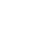 Payload Icon