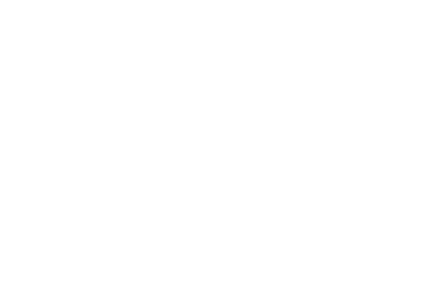 altafiber logo