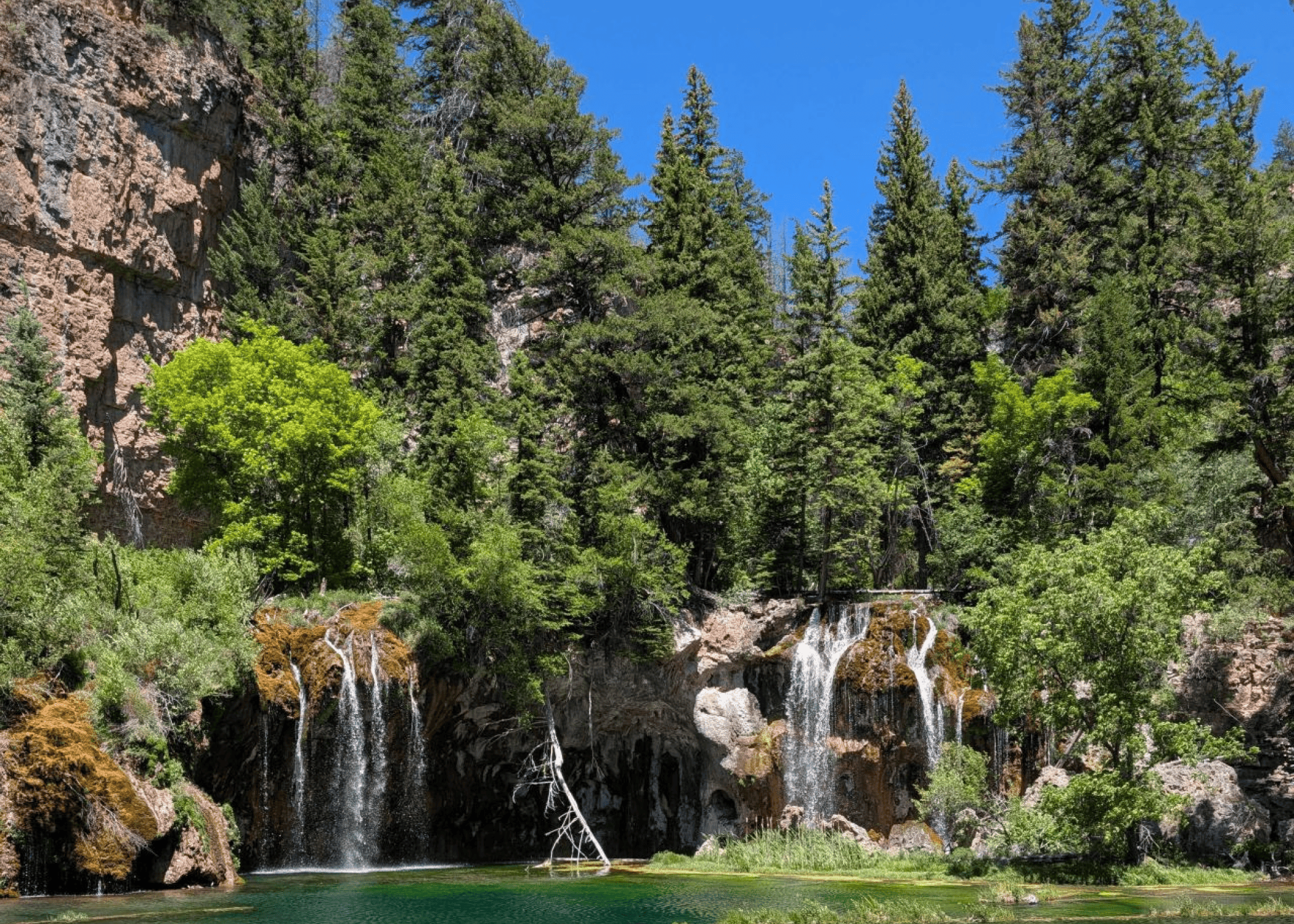 Hanging Lake waterfall and turquoise pool surrounded by pine trees and rocky cliffs near Glenwood Springs, Colorado, visited during the CSAE 2026 Annual Conference community hike.