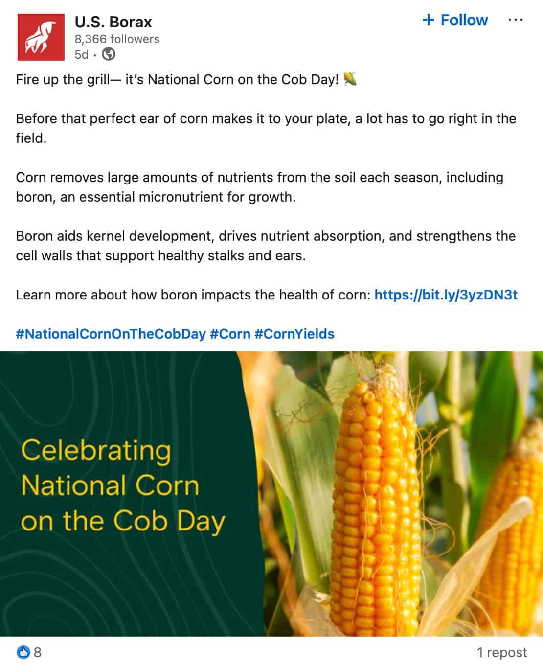 U.S. Borax LinkedIn post celebrating National Corn on the Cob Day, explaining boron's role in corn kernel development.