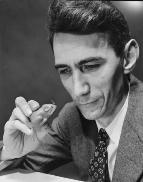 Claude Shannon