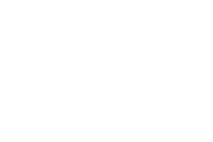 BDO logo